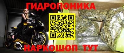 марихуана Кингисепп