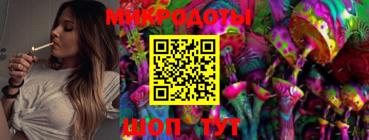 Королёв  Галлюциногенные грибы MAGIC MUSHROOMS  Вход с VPN 